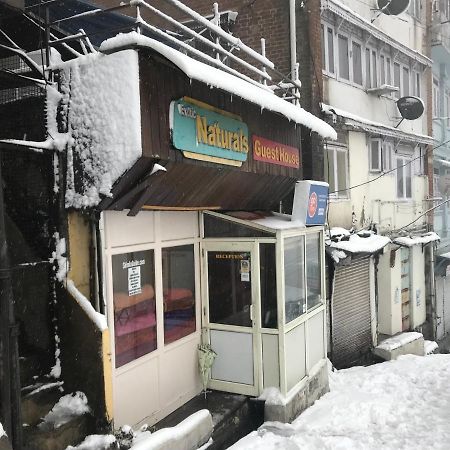 Exotic Naturals Guest House Shimla Exteriör bild